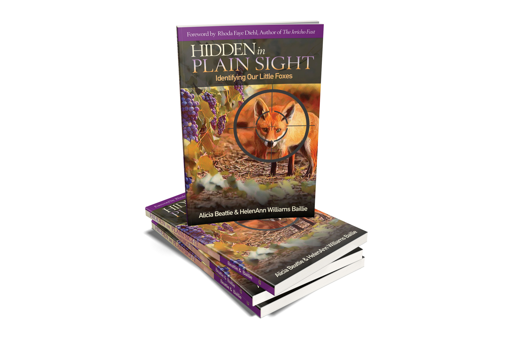 Mockup2-Hidden-in-Plain-Sight